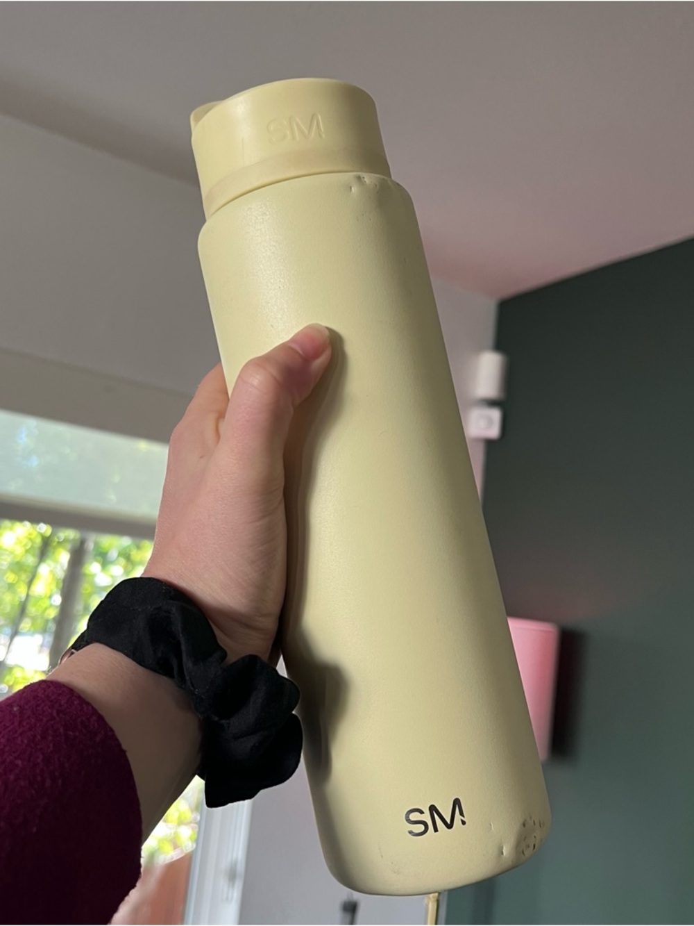 SM 30oz Summit Yellow Stainless Steel Tumbler Water Bottle with Screw-Top Handle